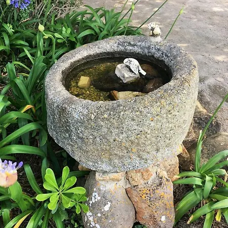 Сasa de vacaciones Casa Da Corredoura